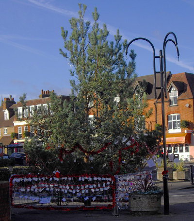 a decorated fir tree standing in a villagecentre