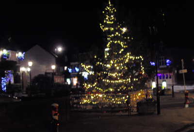 an illuminated tree standing in a villagecentre