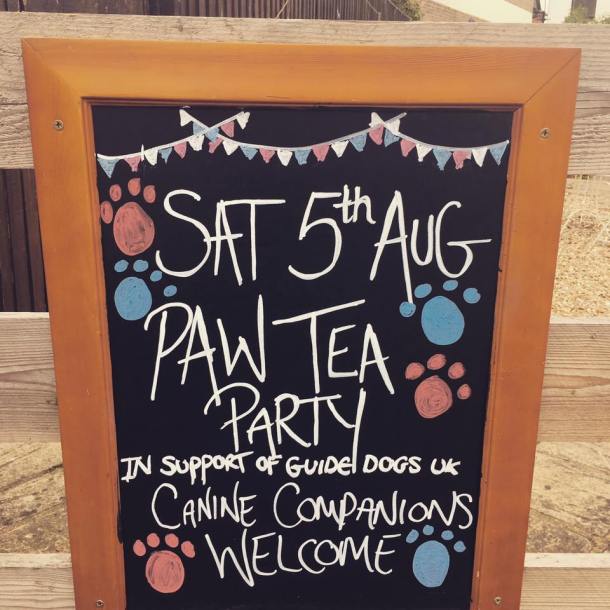 paw party